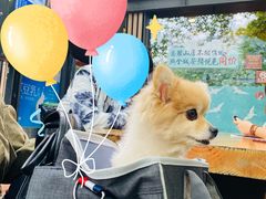 -茶颜悦色(岳麓山顶店)