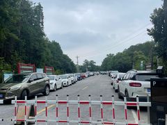 -素山寺森林公园