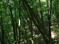 -五女山景区