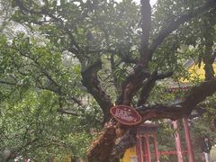 -华清宫景区