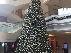 -上海新发展亚太JW万豪酒店
