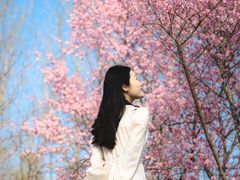 -白塘生态植物园
