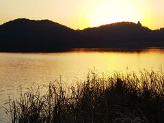 -东湖落雁景区