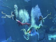 -波塞冬海底世界