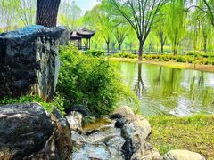 -石家庄市植物园