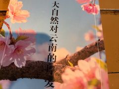 -熙楼(翠湖店)