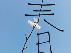 -静之湖湖畔餐厅