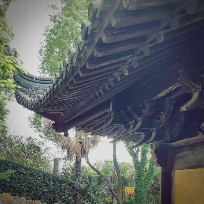 轩辕宫"原名胥王庙,始建于唐贞观二年,元至元四年-大众点评移动版