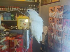 -石锅苗苗鱼(武汉首店)