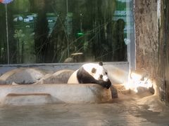 -海南热带野生动植物园
