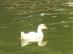 -丰台花园