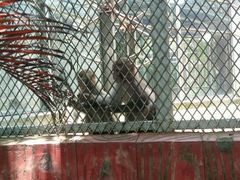 -广东茂名森林公园