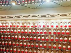 -老淳安—伴山伴湖(千岛湖开元度假村店)