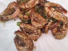 -东鸽皇(奥园·中环广场店)