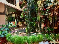 -正佳雨林生态植物园