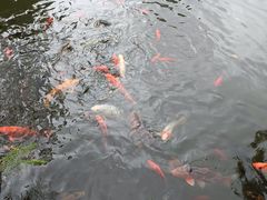 -成都杜甫草堂博物馆
