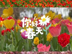 -郑州中国绿化博览园