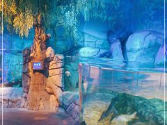 -沈阳海洋探索中心