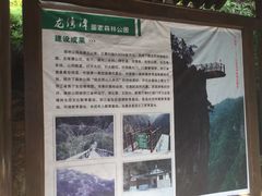 -龙湾潭国家森林公园