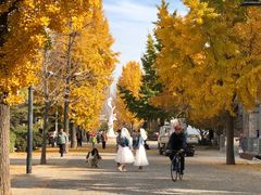 -日本风情街