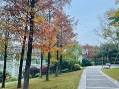 -海底捞火锅(金融街万达店)