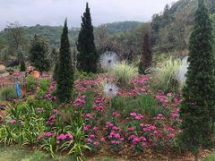 -梅州雁山湖国际花园度假区
