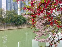 -红星桥(地铁站)