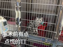 -宠颐生宠物医院外科·内科·皮肤科·影像科(石龙店)