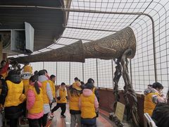 -中央电视塔旋转餐厅