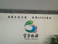 -官亭林海