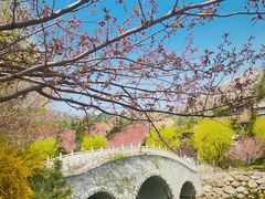 -石岛赤山风景区