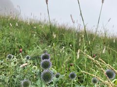 -白草畔自然风景区