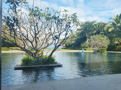 -柏悦酒店-沁园牛排海鲜西餐厅