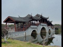 -上海海湾国家森林公园