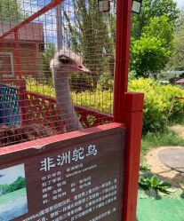 -萌宠亲子动物乐园(槐房万达店)