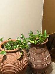 -禾颜社·精致美容