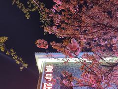 -壹号院音乐餐厅•烤全羊•新疆菜(浐灞店)