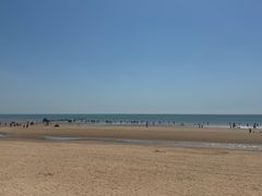 -日照海滨国家森林公园