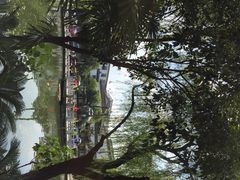 定园-定园