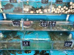 -北戴河庆山饭店·海鲜砂锅粥(北戴河黑石路店)