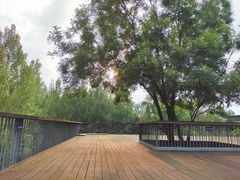 -白鹭湾湿地公园