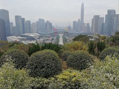 -莲花山公园