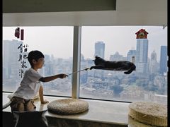 -Catmate·猫肥家润(金润铂宫店)