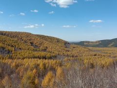 -塞罕坝国家级自然保护区