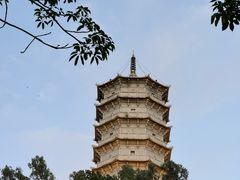 -深圳国际园林花卉博览园