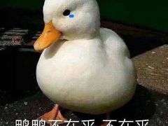 -黄记煌·三汁焖锅(万达广场店)