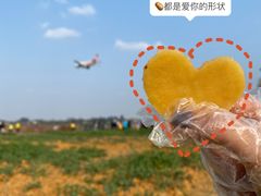 -空港花田景区