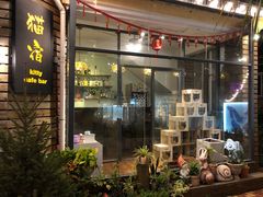 -有猫主题·治愈系猫咖(曾厝垵店)