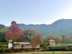 -塔川景区