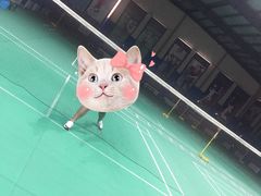 -伯明顿羽毛球(南开分馆)
